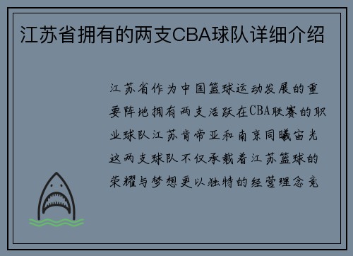 江苏省拥有的两支CBA球队详细介绍